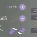 성동동물약국 이미지