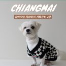 연희동물의료원 | 태국 치앙마이 여행 반려동물 서류 준비 2탄 | 사전수입허가서 양식 및 작성 방법