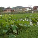 미리내캠프 이미지