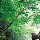 춘천여관 이미지