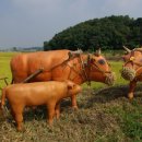 양주들노래 이미지