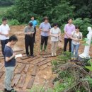 스테이 소울 이미지