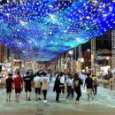 해운대이벤트광장 이미지