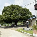 연하2리 마을회관 이미지