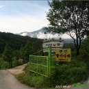 향기나라사랑이 이미지