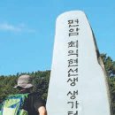 채씨 고집불통 동아일보