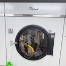 화성3차세탁 이미지