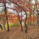 경기둘레길 김포59코스 이미지