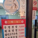 머티네거리 이미지