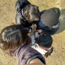 무궁화꽃이피었습니다 | MZ 따라잡기 경도 무궁화꽃이피었습니다 얼음땡 마피아 프라이팬 후기