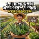오두리햇살농장2 | 6시 내고향 알로에 아스파라거스 허브농장 아이작 농장 공개