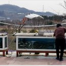 나루터민물매운탕 이미지