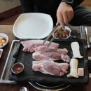 돼지의유혹