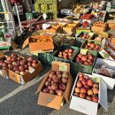 농민유통 | 안동 여행 마지막 코스 추천! 서안동ic 농산물 공판장 과일 싸게 산 솔직후기