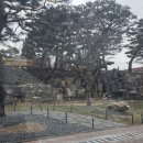 라운딩 | 함박눈 오는 날 뉴서울 CC 라운딩 후기