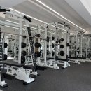 뷰티풀피티 이미지