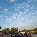 월등도캠핑장 이미지