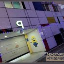 씨티보이원 이미지