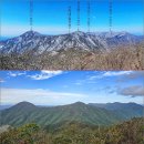 천상의 나무 | 전북 진안 데미샘 자연휴양림 천상데미 오계치 등산 후기