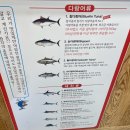 참치정육점화서점