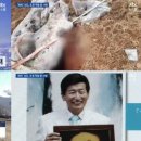 신도조경