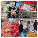 위드 마이 펫 | 2025 마이펫페어 part 1 일산 후기