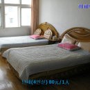 청도PC Daum카페