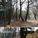 팔공산녹색길 숲길 1코스 이미지