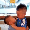예본헤어 Daum카페