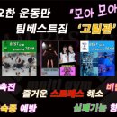팀베스트최고체육관 이미지