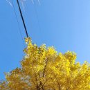 산수정육점 - 광양시 | 산수정육점