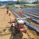 병만농장 이미지