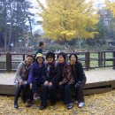 가을여행 이미지