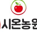 청송꿀사과