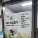 신사역4번출구 옆 | 신사역 두피관리 [다시봄뷰티] 금손 원장님께 받은 탈모 두피케어 추천 후기