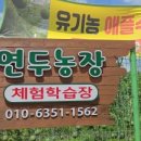 화성특용작물농장 | [서울 근교] 아이와 가볼 만한 곳 애플수박 농장 연두농장 체험 내돈내산 후기