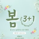 요가;봄 네이버블로그