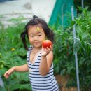 길손농장 이미지