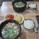 서울닭유통 | [망원시장 평일코스] 망원시장 평일 데이트 먹거리 코스 닭강정 닭곰탕 도너츠