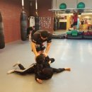 곰 체육관 이미지