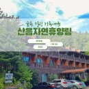 산음자연휴양림 :: 예약방법, 가격, 숙박후기, 휴양관, 야영장, 숲길