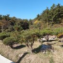 내계마을 이미지