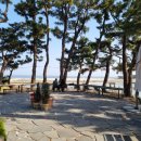 언덕카페 | 강릉카페 추천 강릉뷰좋은카페 언덕앤 솔직후기 바다 보며 힐링