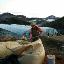 해송농장 이미지