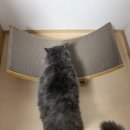 재크by김영두