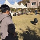 위플로 | 위플가계부 10월 통계 | 추석특수로 식비 폭발😱 그래도 행복했던 한 달