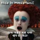 디 앨리스(The Alice)