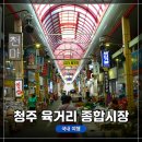 육거리종합시장 | [청주 여행] 청주 시내 대형 전통시장 &lt;육거리 종합시장&gt; 탐방기 / 더위 + 열사병 초기증상 겪음.