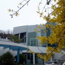 도솔다목적체육관(농구, 배드민턴) 이미지