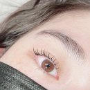 꼼꼼속눈썹 이미지